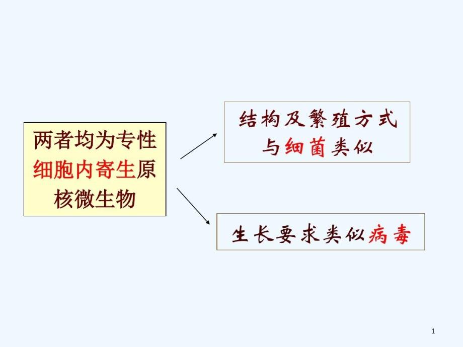 立克次氏体与衣原体课件整理_第1页