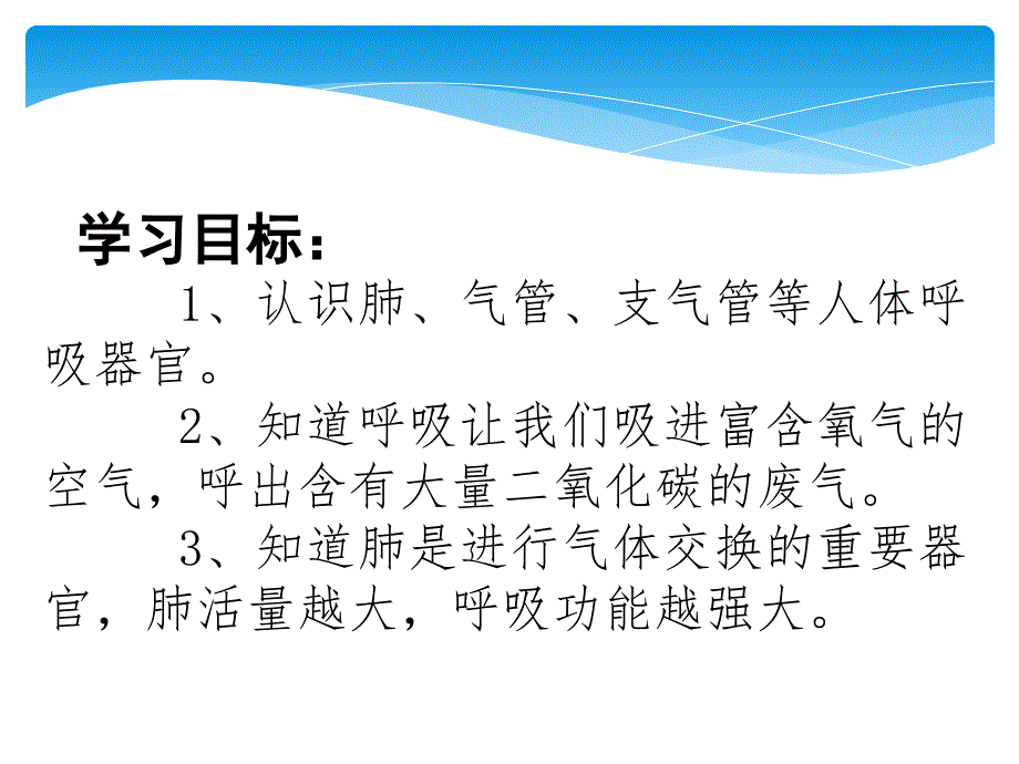 肺和呼吸公开课课件_第1页