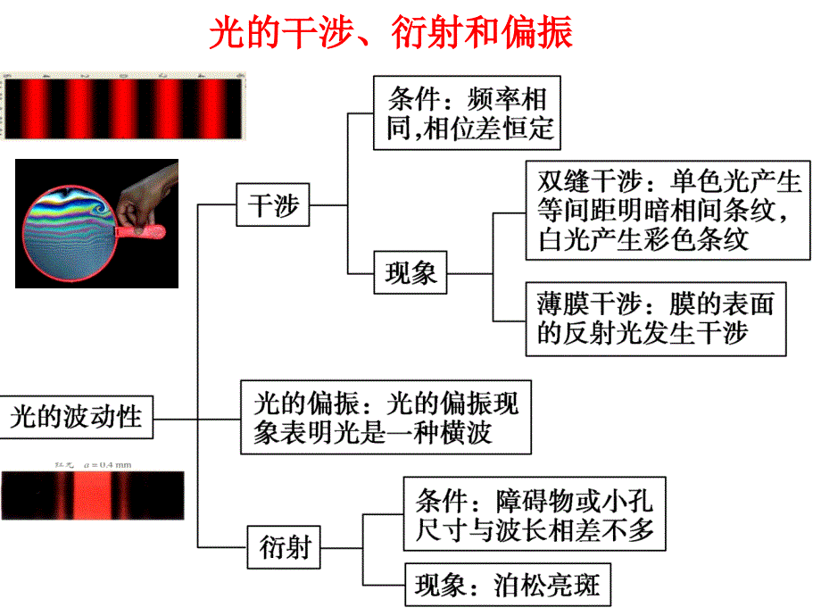 第十三章-第2课时-光的波动性课件_第1页