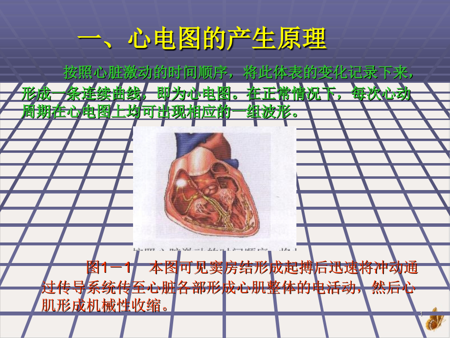 爱心电图教程课件_第1页