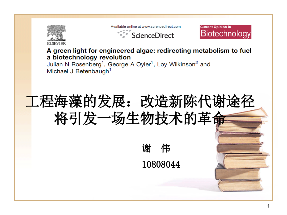 而目前最热门的发展方向是药物化合物和生物燃料back课件_第1页