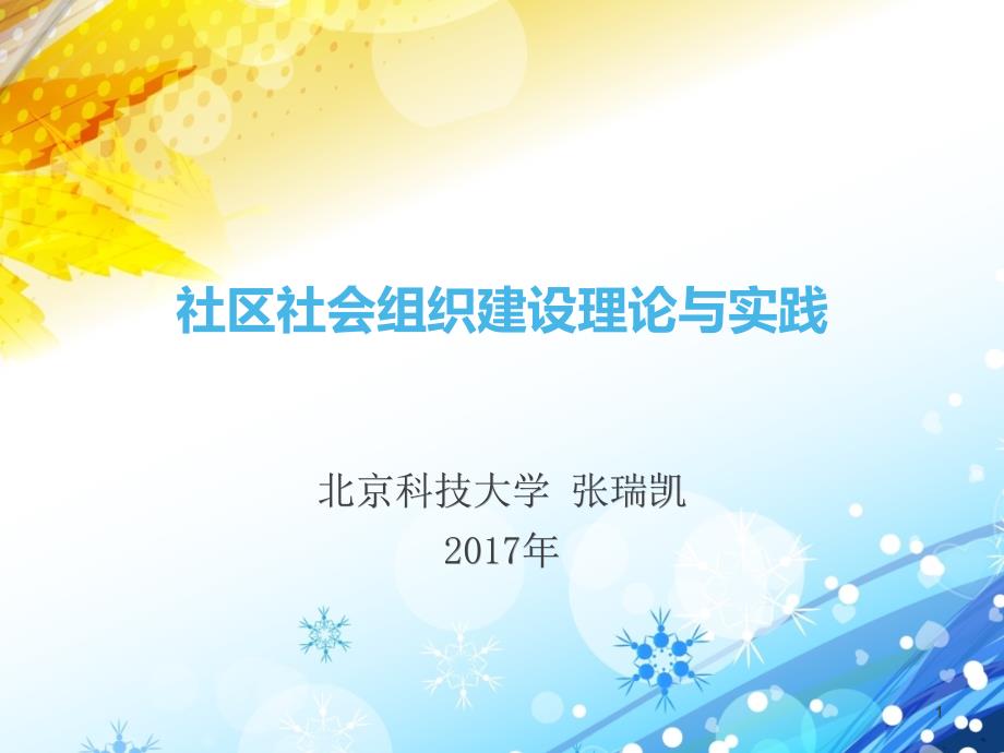 社区社会组织建设理论与实践张瑞凯课件_第1页