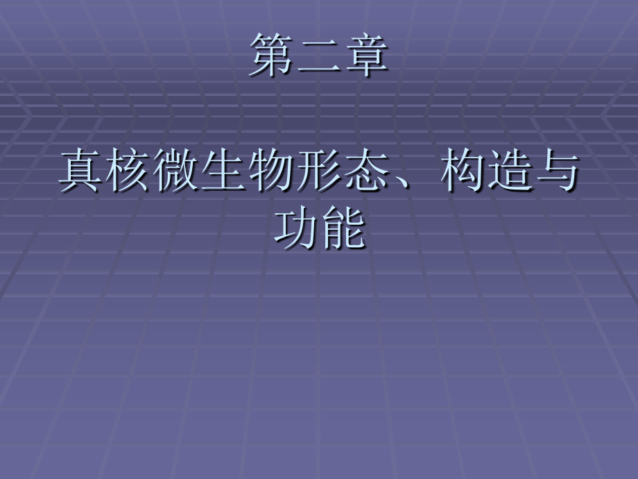 第二章真核微生物形态构造与功能课件_第1页