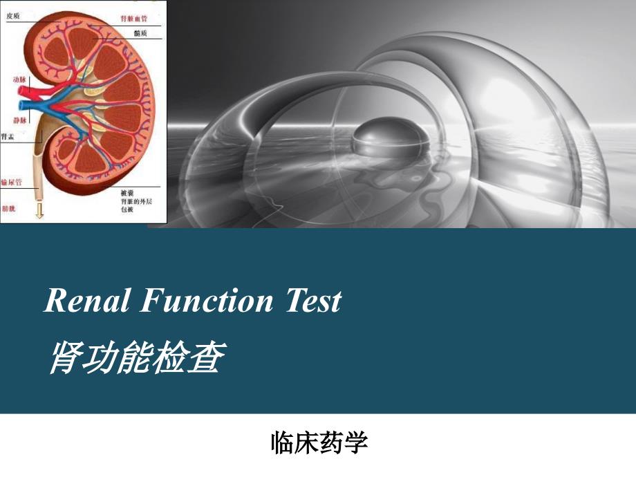 肾功能检查培训课件_第1页