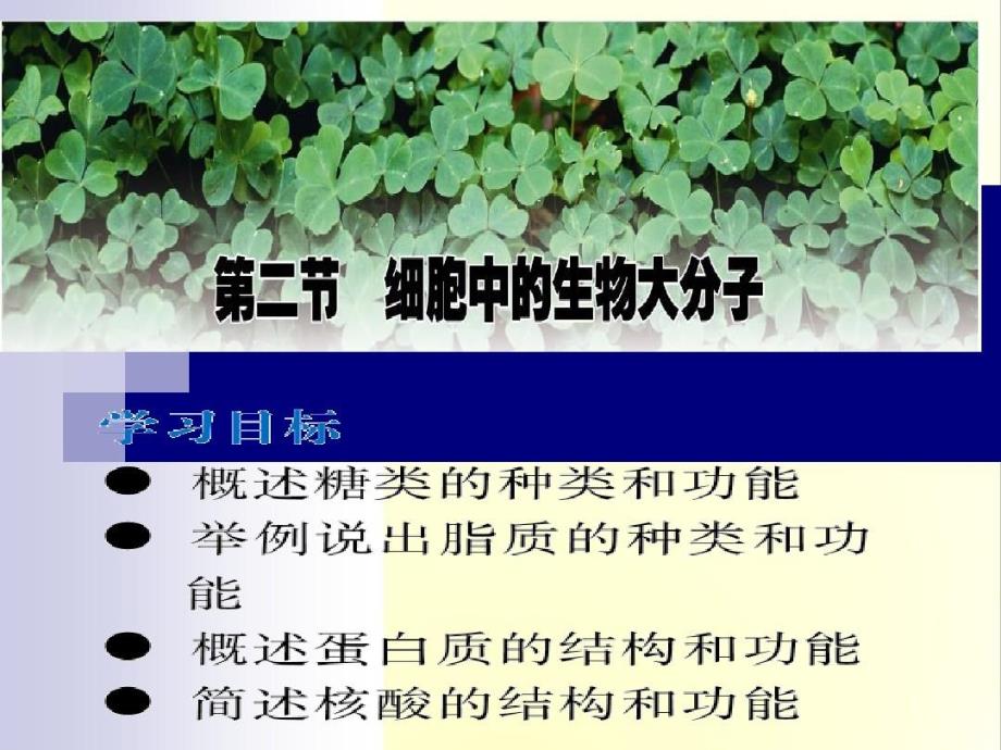 细胞中的生物大分子3-苏教版教学课件_第1页