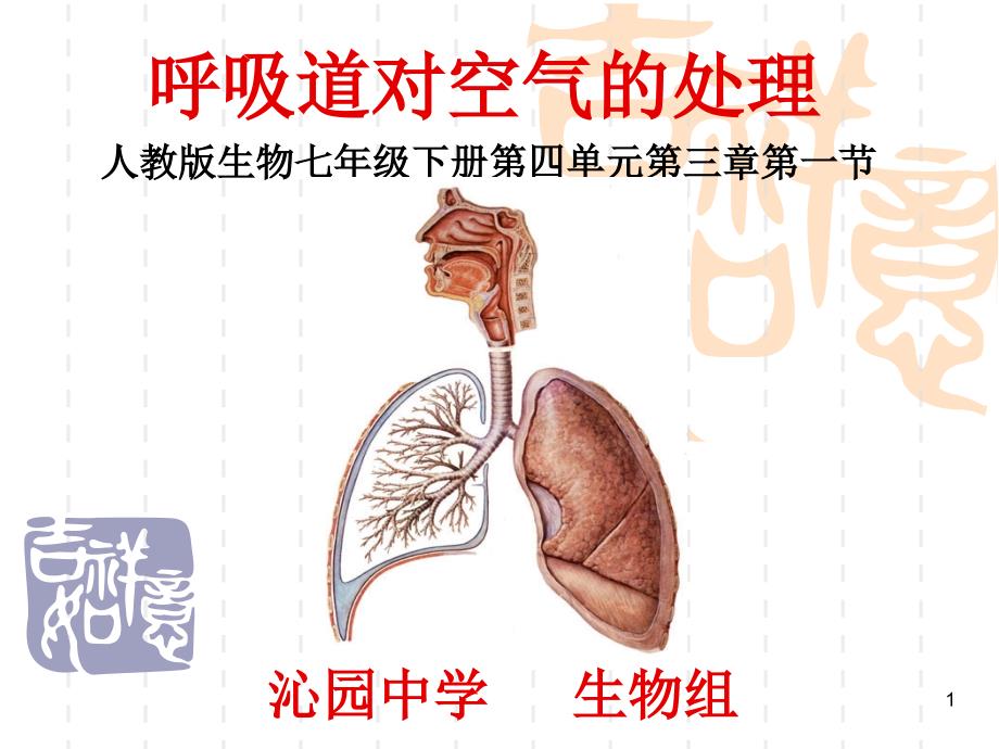 第一节呼吸道对空气的处理课件_第1页