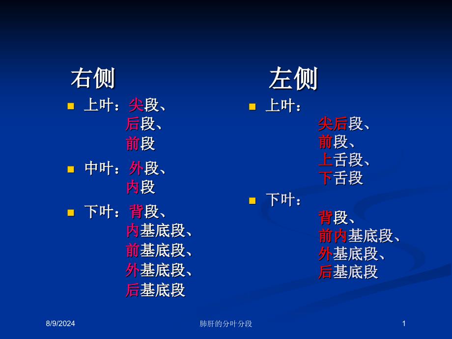 肺肝的分叶分段培训课件_第1页