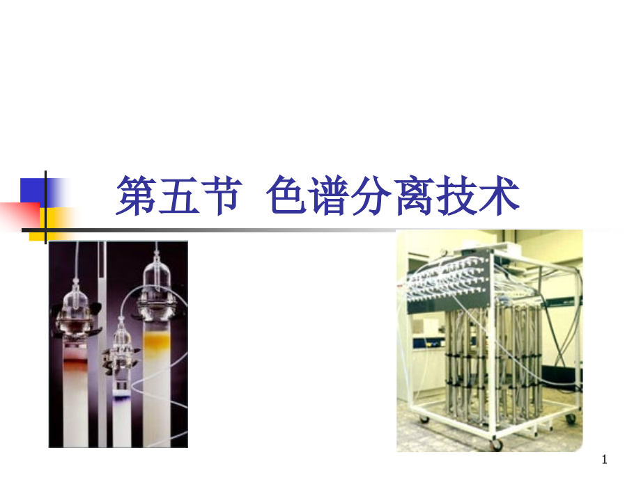 天然药物提取工艺ppt课件色谱分离技术_第1页