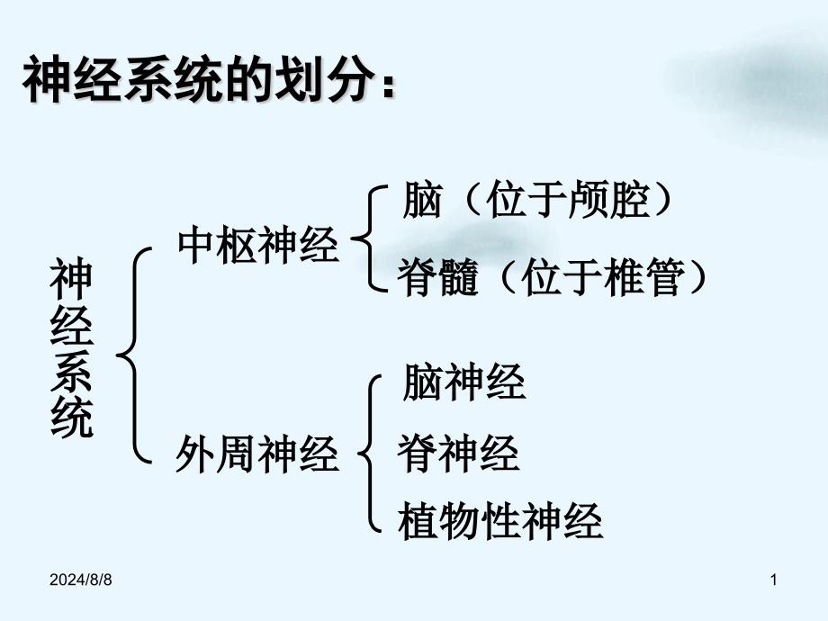 神经系统解剖和生理讲课课件_第1页