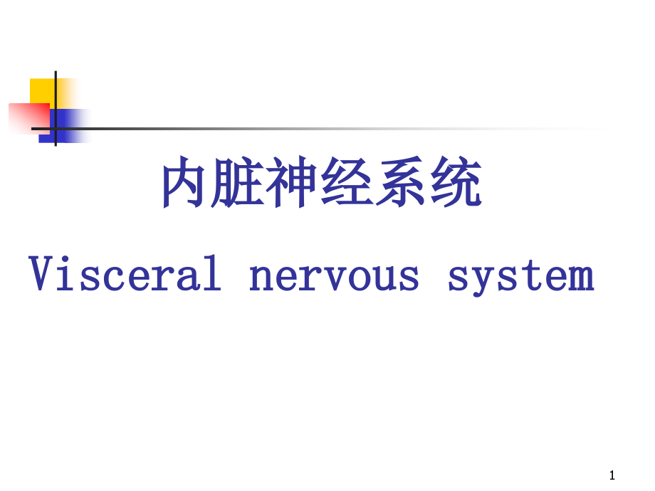 内脏神经分析ppt课件_第1页