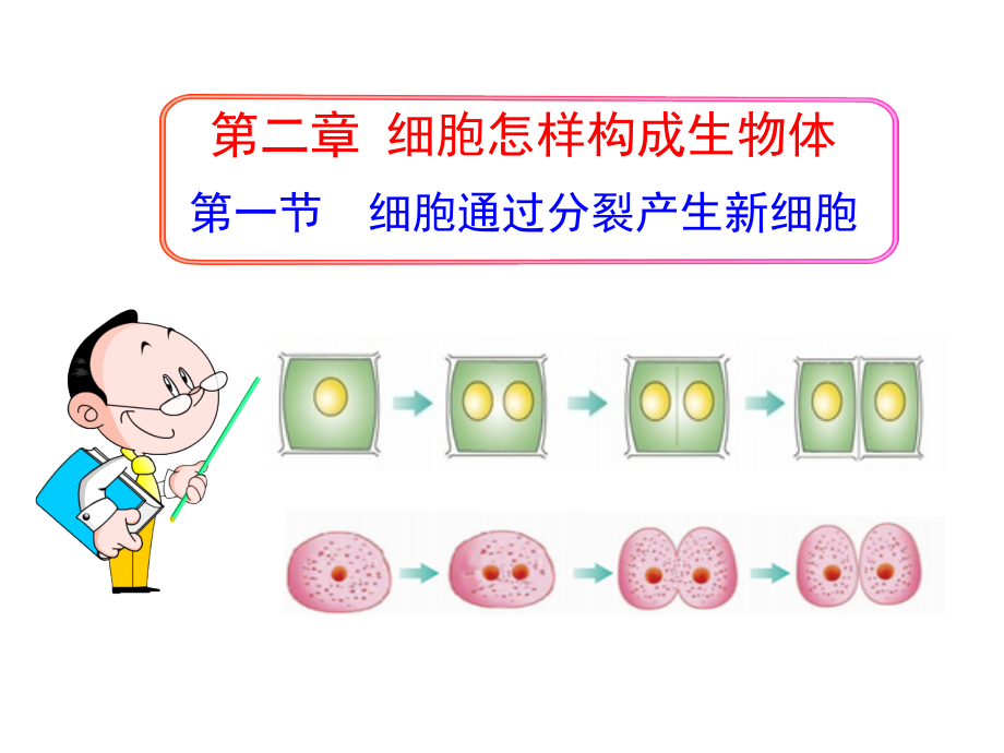 生物七年级上册第2单元第2章第1节《细胞通过分裂产生新细胞》省优质课获奖课件_第1页