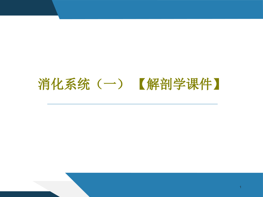 消化系统(一)-【解剖学课件】_第1页