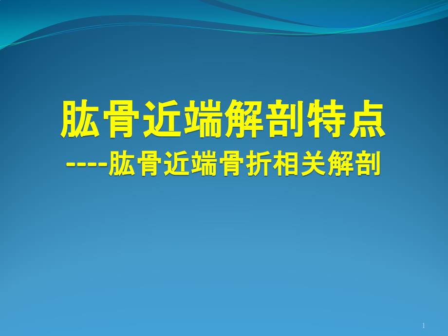 肱骨近端解剖特点课件_第1页