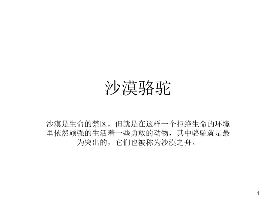 沙漠骆驼ppt模板课件_第1页