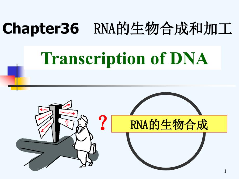 第36章--RNA的生物合成和加工课件_第1页