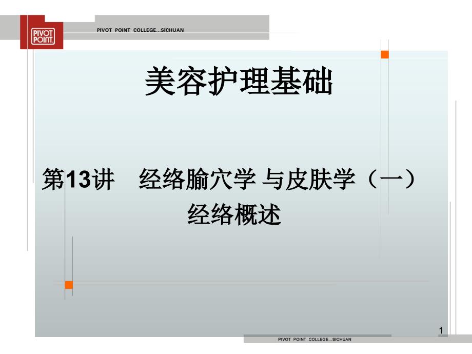 美容护理基础第13讲经络腧穴学与皮肤学(一)课件_第1页