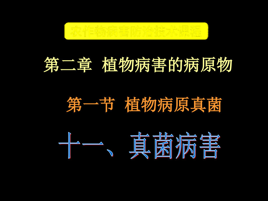 真菌病害传播途径课件_第1页