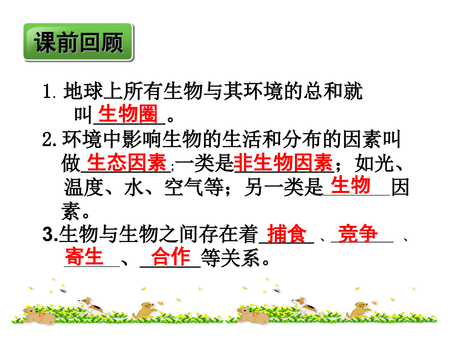 使用第二节《生物 和环境组成生态系统》课件_第1页