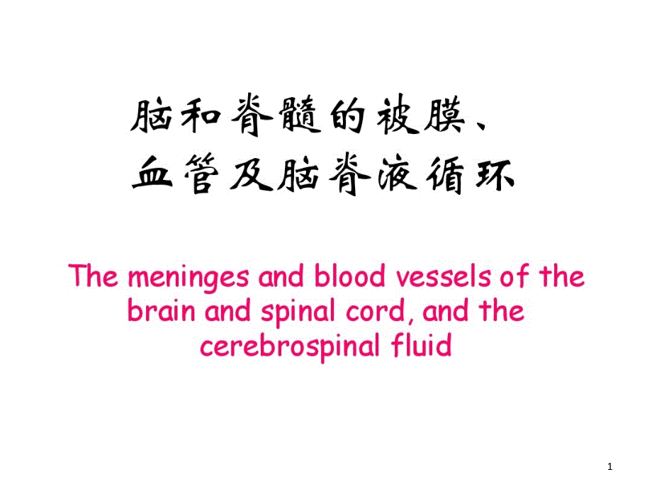 脑脊髓被膜及血液循环课件_第1页