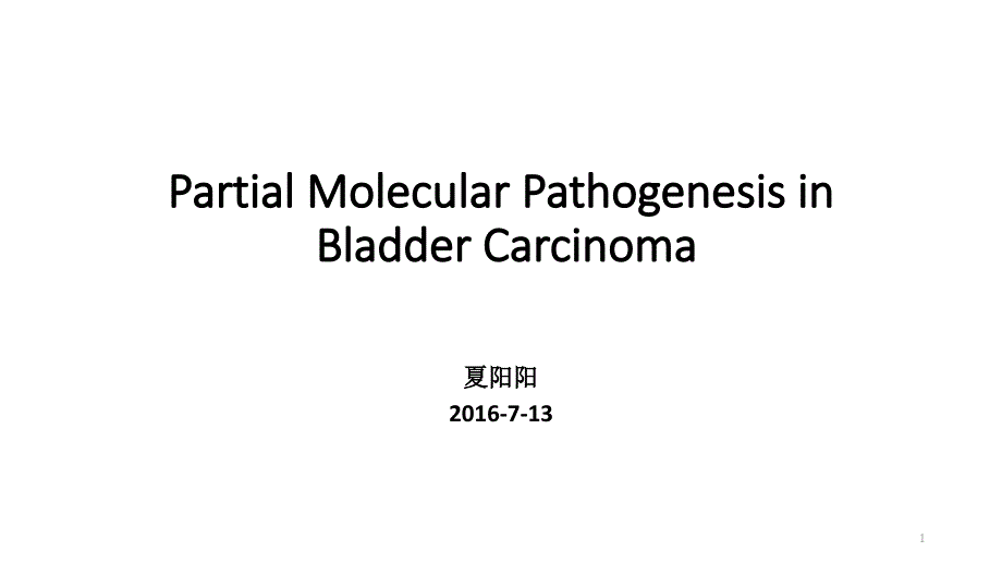 膀胱癌发病机制XYY概要课件_第1页