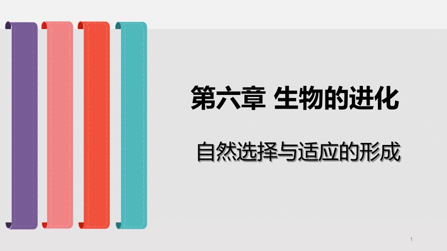 自然选择与适应的形成-人教版高中生物必修二课件_第1页