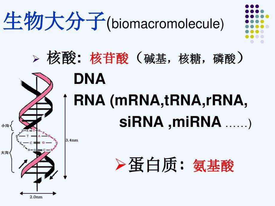 细胞与分子生物学技术教学课件2_第1页