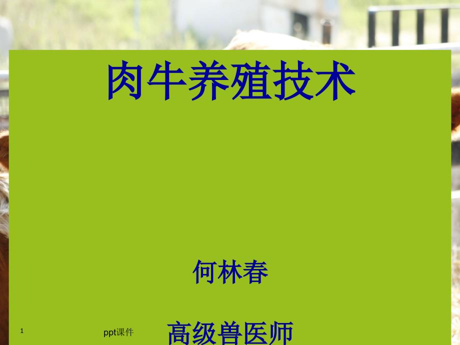 肉牛饲养管理技术课件_第1页