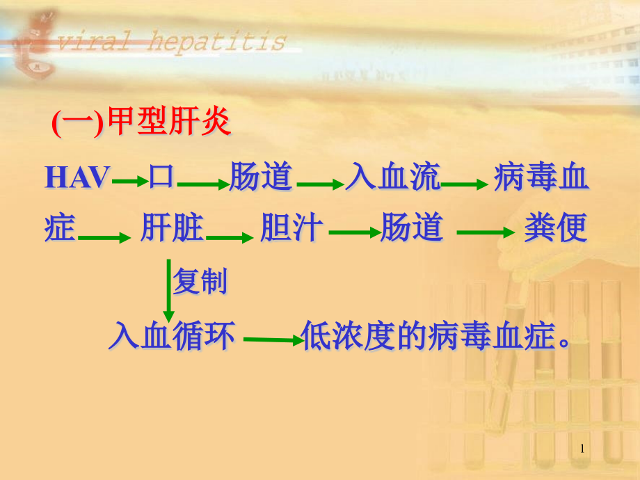 病毒性肝炎第三部分实用版课件_第1页