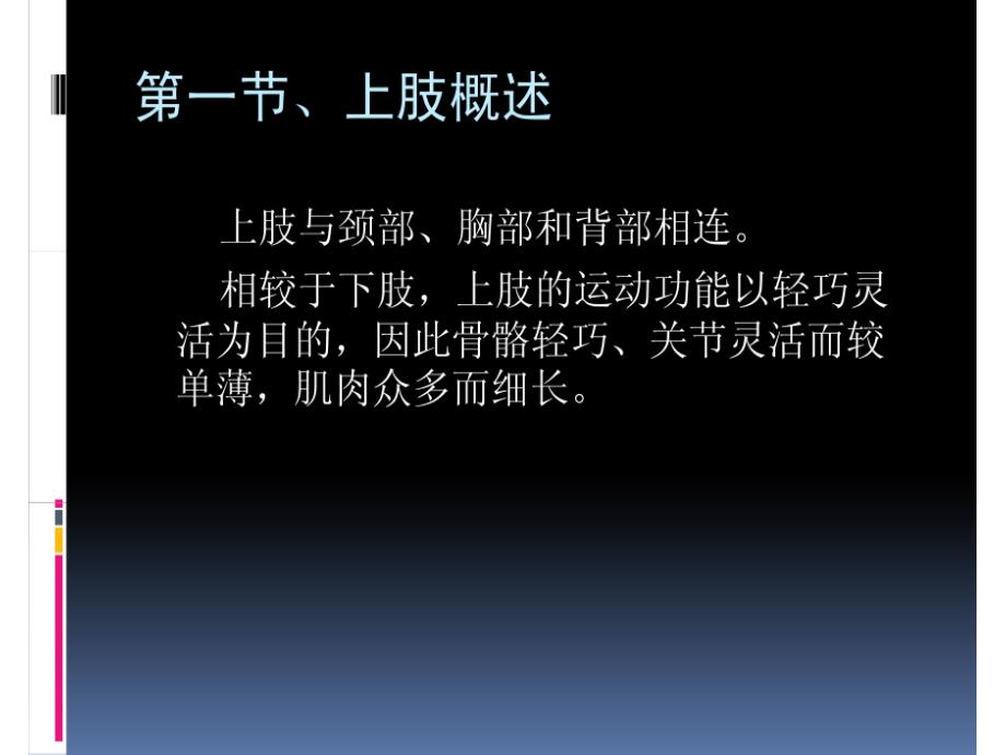 罗英瑾01上下肢浅层教学课件_002_第1页