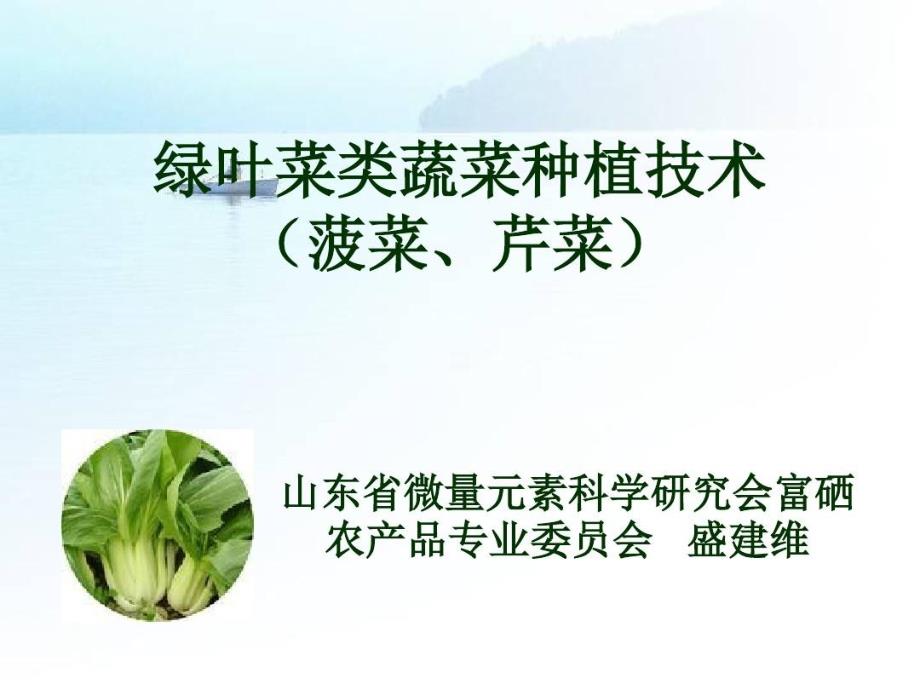 绿叶类蔬菜种植技术教学课件_第1页