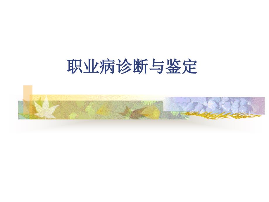 职业病诊断鉴定课件_第1页