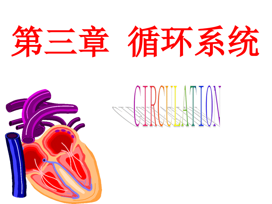 第五章循环系统课件_第1页