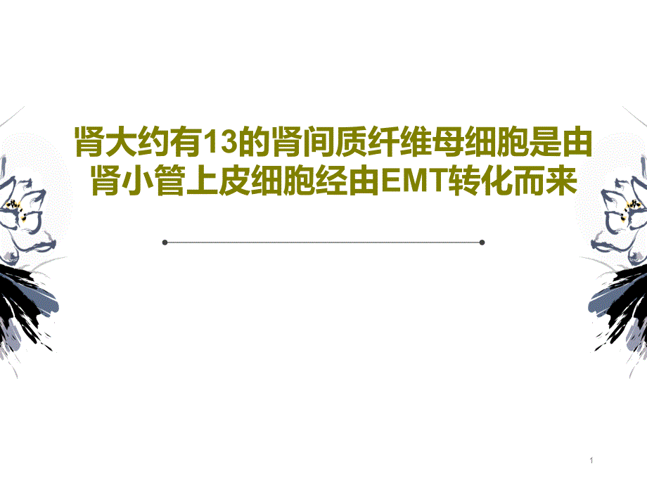 肾大约有13的肾间质纤维母细胞是由肾小管上皮细胞经由EMT转化而来课件_第1页