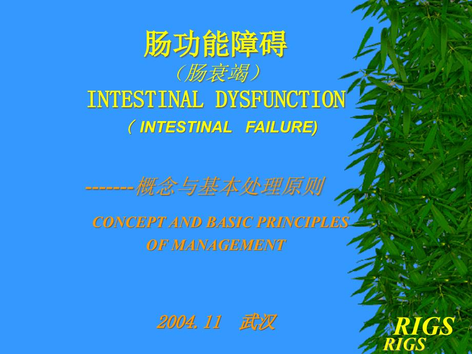 肠功能障碍肠衰竭INTESTINALDYSFUNCTION课件_第1页