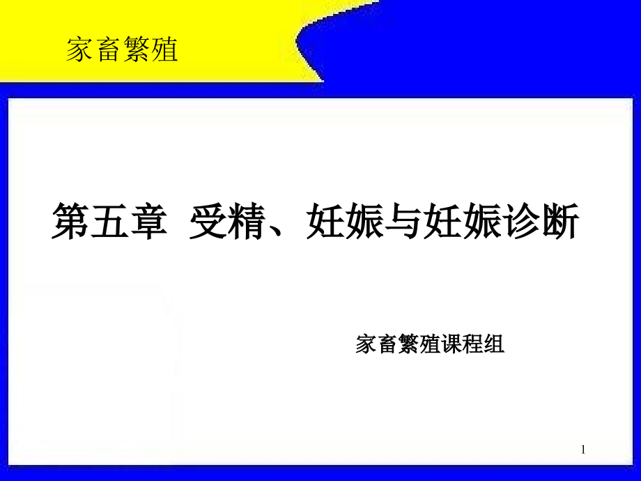 第五章受精、妊娠与妊娠诊断课件_第1页