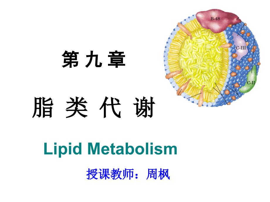 第九章-脂类代谢课件_002_第1页