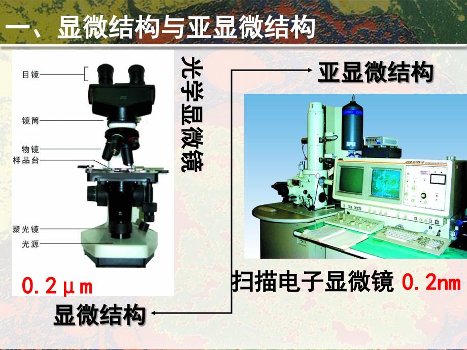 安庆一中生物细胞课件_第1页