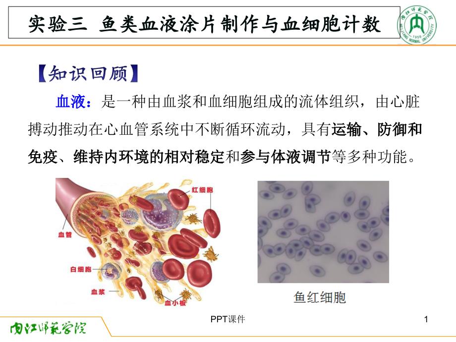 动物生理学实验三鱼类血液涂片制作与血细胞计数课件_第1页