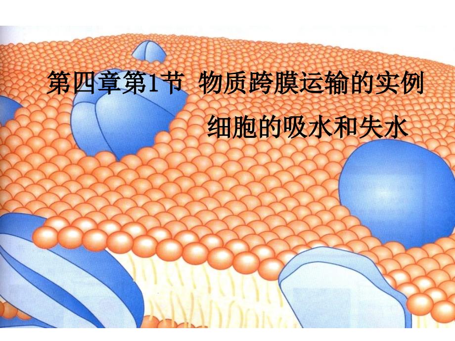 高一生物物质跨膜运输的实例课件_第1页