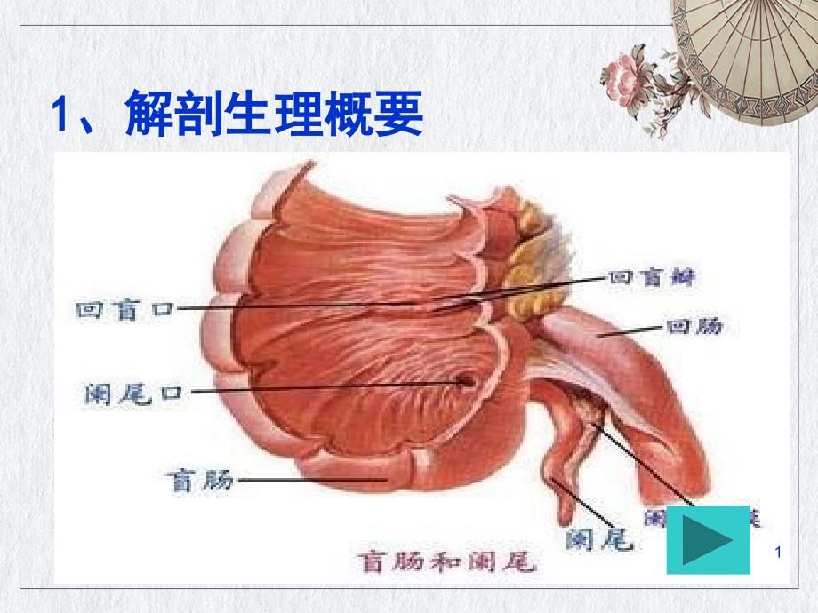 阑尾炎病人的护理课件_第1页