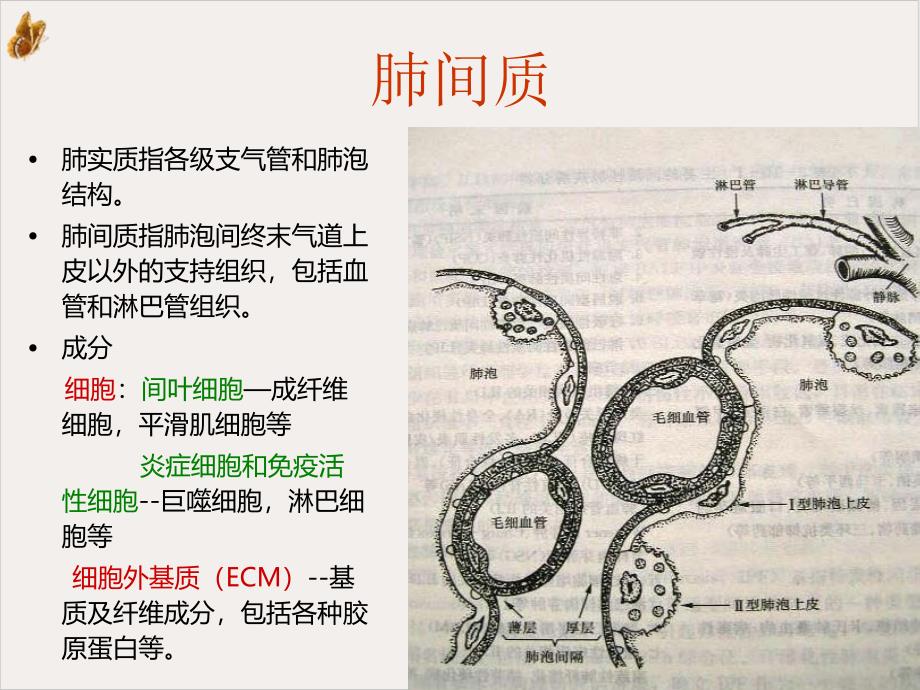 间质性肺疾病的治疗与护理培训课件_第1页