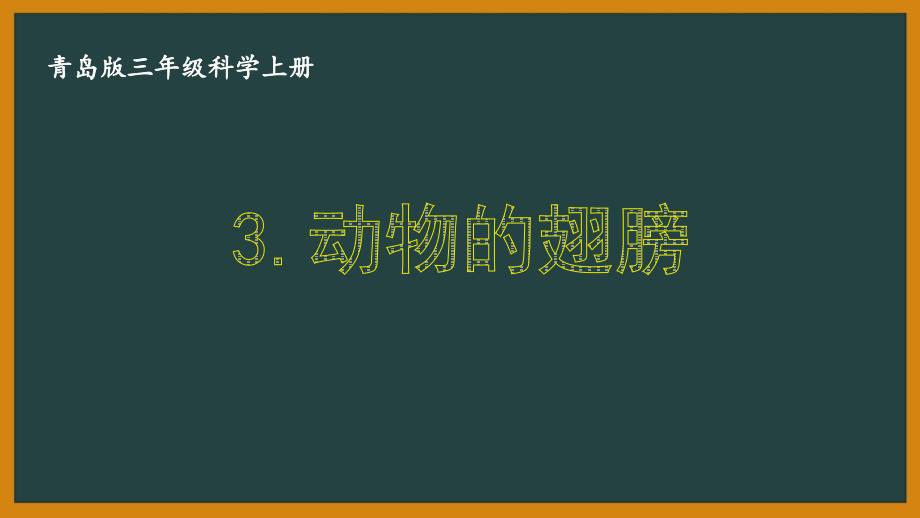 青岛版三年级科学上册3《动物的翅膀》教学ppt课件_第1页