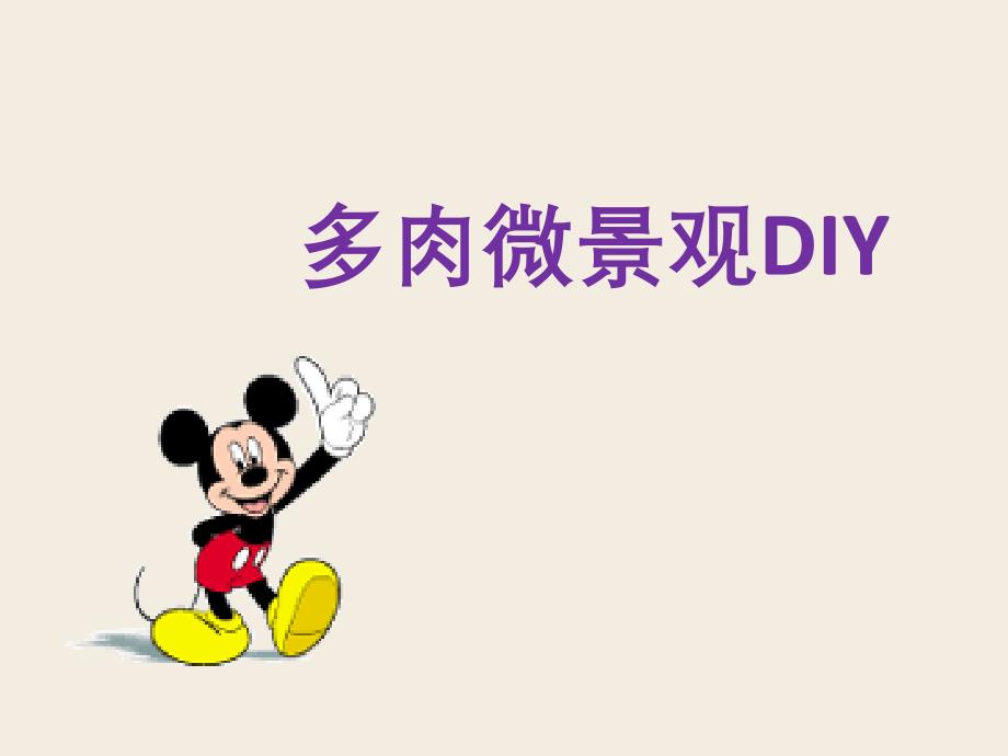 综合实践活动优质课《多肉微景观DIY》课件_第1页