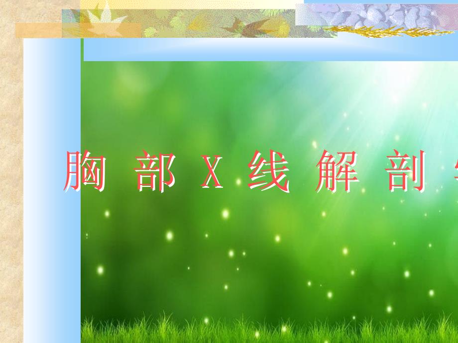 胸部X线解剖学_第1页