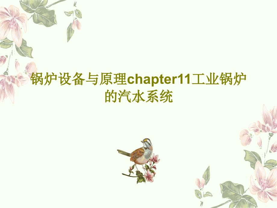 锅炉设备与原理chapter11工业锅炉的汽水系统教学课件_第1页