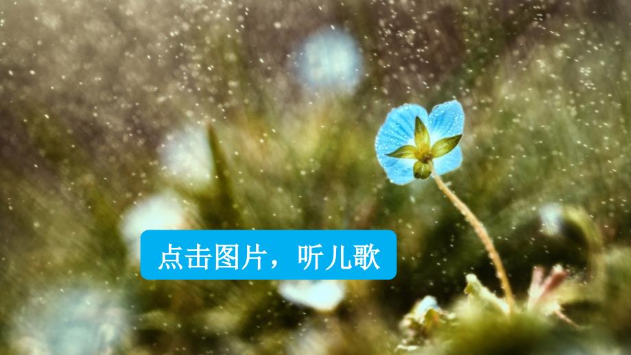 部编版一年级语文上册《8-雨点儿》精美课件(统编本)_第1页