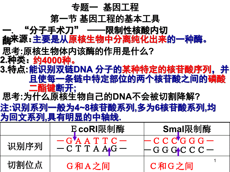 专题一《基因工程》复习ppt课件_第1页