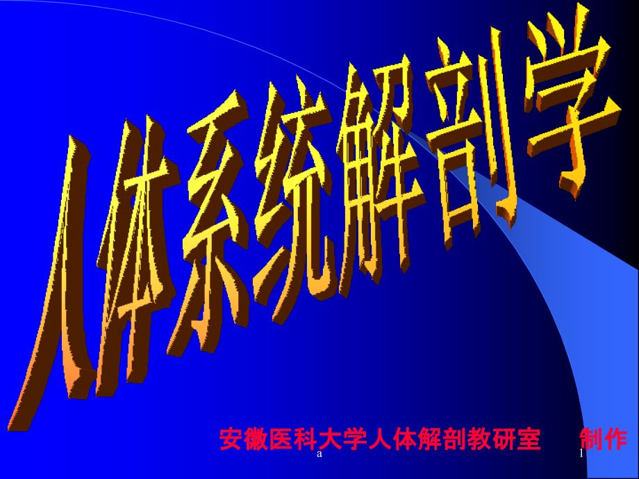 针灸针刀等解剖学基础课件_第1页