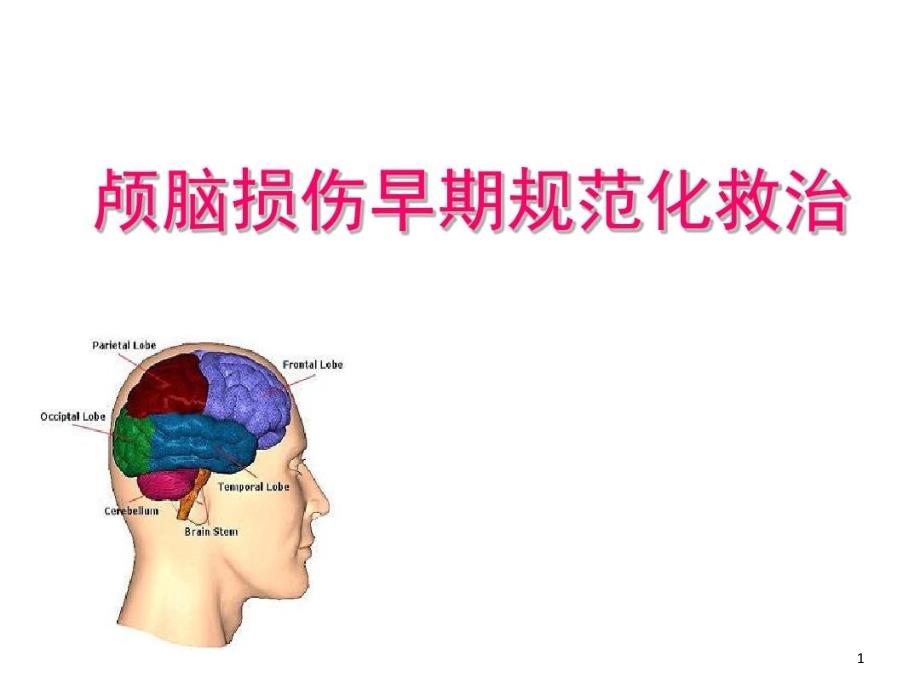 颅脑损伤规范化治疗课件整理_第1页