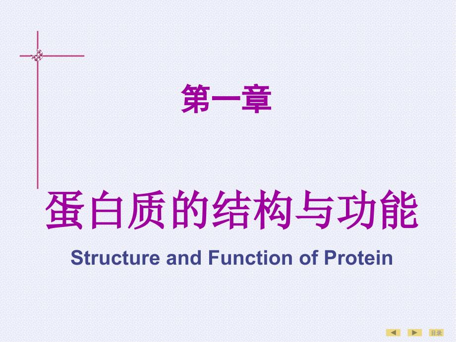 临床医学生物化学高起本专升本教案01第01章蛋白质的结构与功能课件_第1页